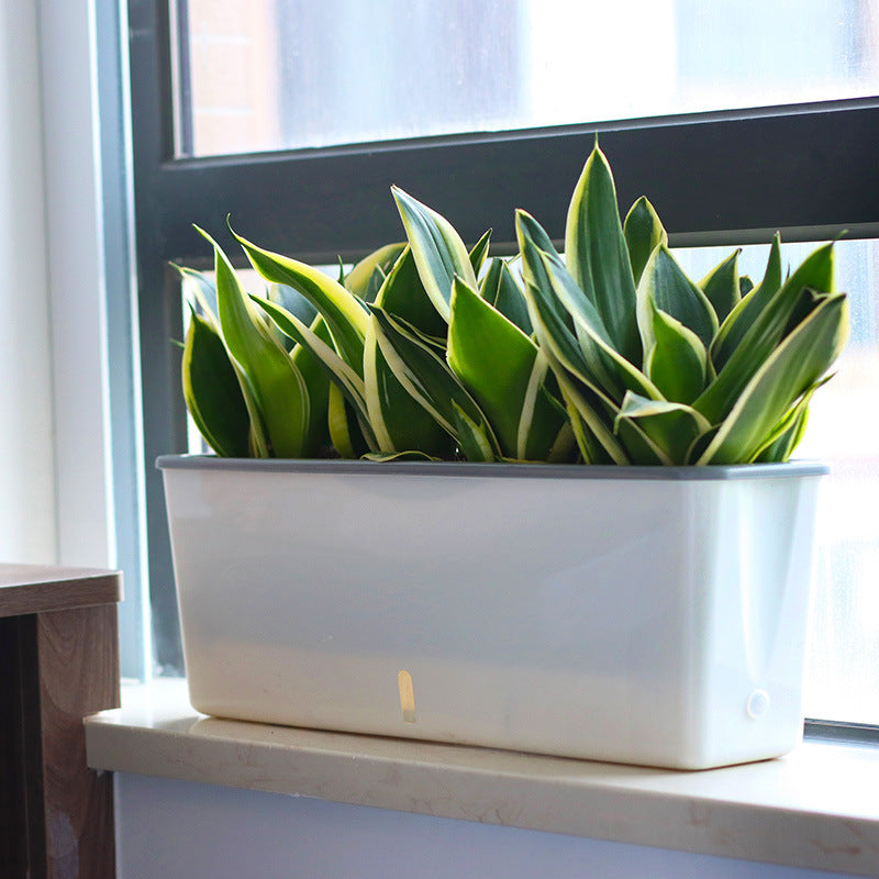 Self-Watering Planter Pots SwagDials
