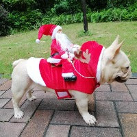 Dogs Santa riding outfit