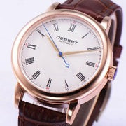 Debert Men's Automatic Mechanical Watch SwagDials